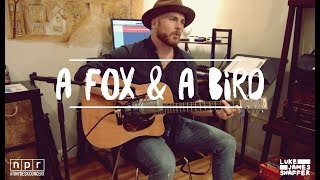 "A Fox & A Bird" by Luke James Shaffer (Tiny Desk Concert Entry)