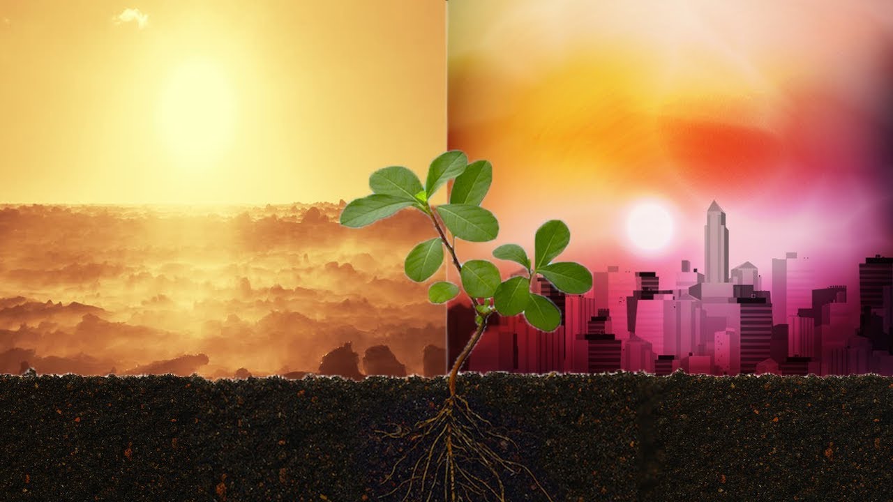 Two Guys One Destination | Like Roots In The Soil