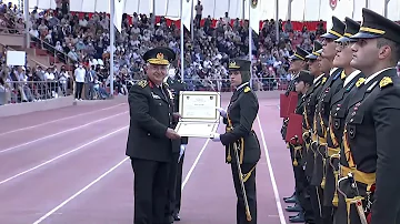 A cosa serve Alma diploma?
