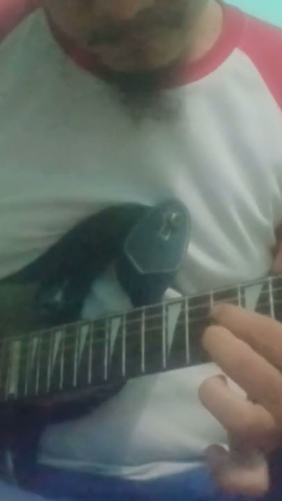 patah hati-singa putih