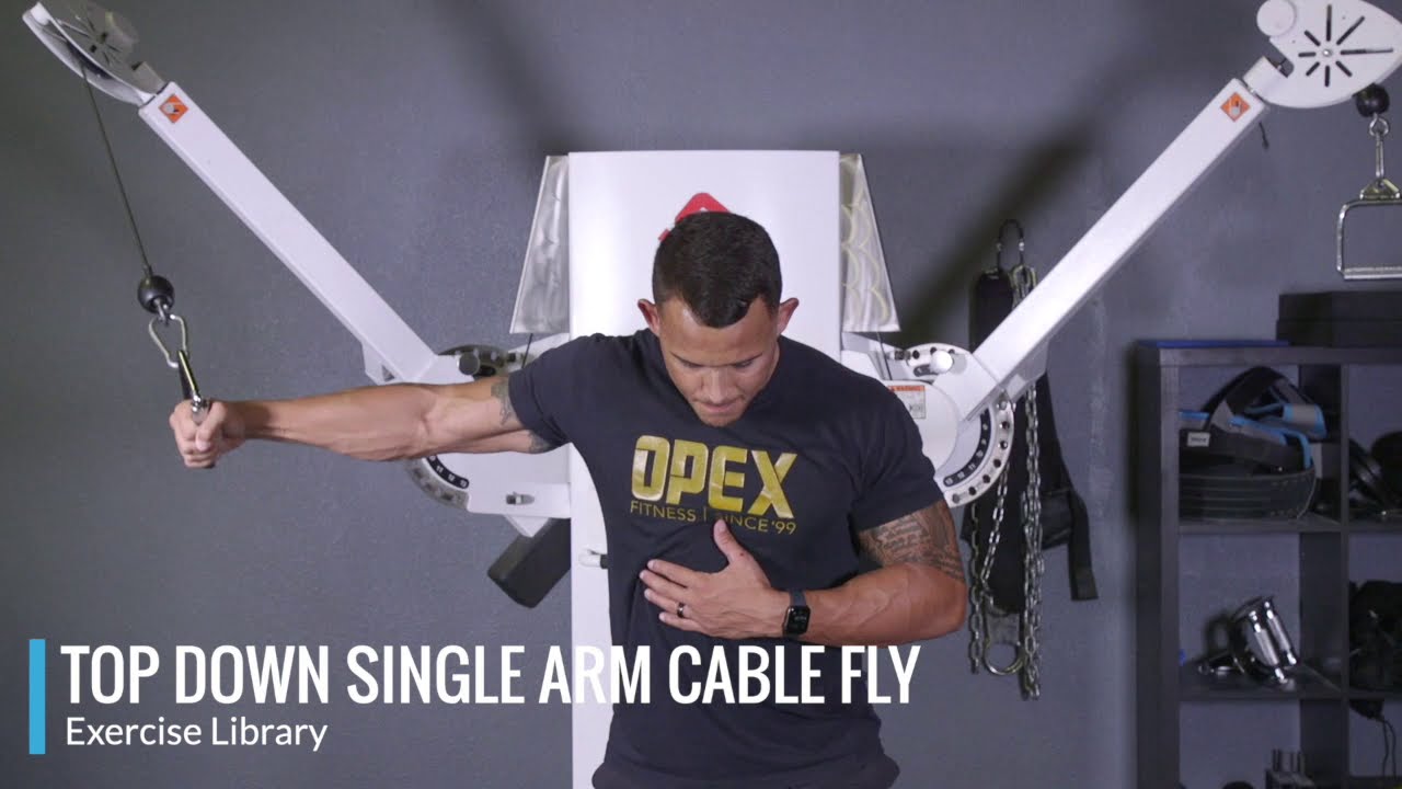 Top Down Single Arm Cable Fly OPEX Exercise Library YouTube