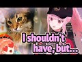 Calli Reveals her New Cat, Tutu! ...and Plans for More...?