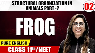 STRUCTURAL ORGANIZATION IN ANIMALS 02 PART - 2 | Frog | Zoology | Pure English | Class 11/NEET