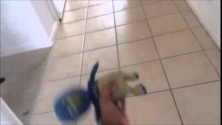 Pablo Blows A Tuba Sound Short Clip