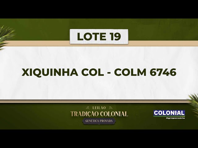 LOTE 19   XIQUINHA COL   COLM 6746