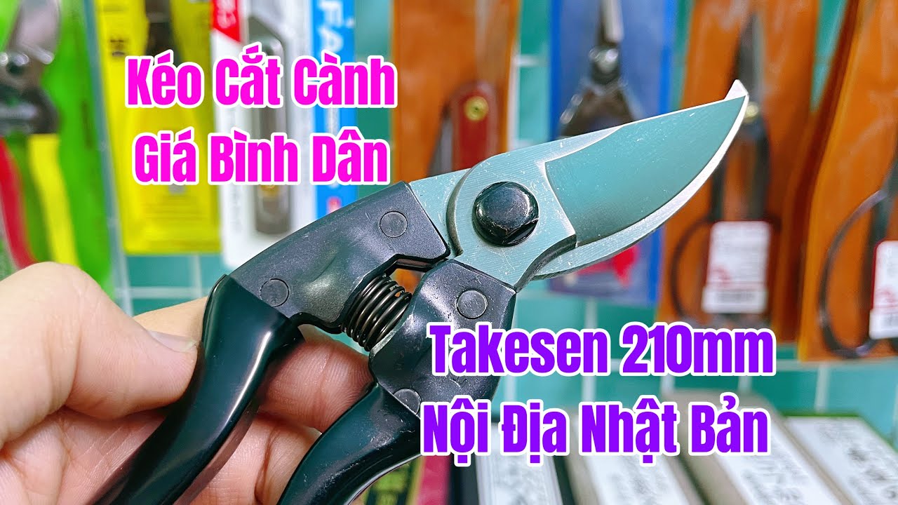 [ TẬP 803 ] KÉO CẮT CÀNH BÌNH DÂN TAKESEN 210MM NỘI ĐỊA NHẬT BẢN