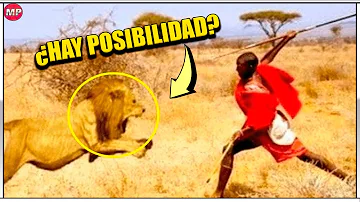 ¿Cuál es el animal más grande con el que puede luchar un ser humano?