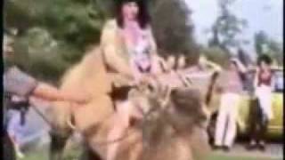 Angry camel spits to lady (funny clip)