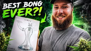 My New Favorite B*NG!