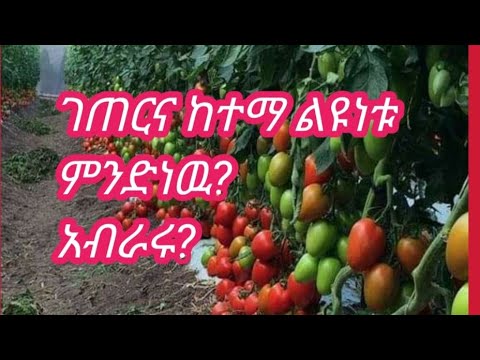 ገጠርና ከተማ ልዩነቱ ምንድነው? አብራሩ