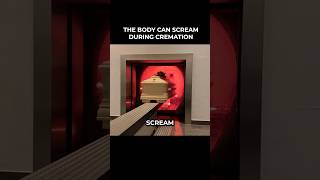 Can a body scream during cremation? 🔥😨