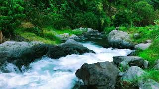 Melt Away Tension River Relaxing by Misty Mountains for Deep Calm & Better Sleep 🌿💤
