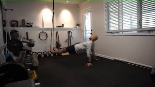 TRX Reverse Plank