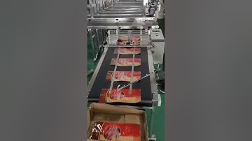 Plastic bag 500 wide paging machine with count 20210413
