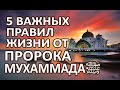 5 важных правил жизни от ПРОРОКА МУХАММАДАﷺ