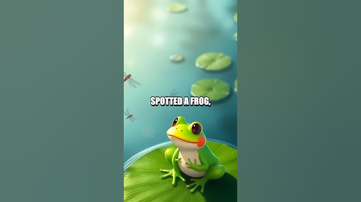 Frog Fun: Ribbiting Adventures!