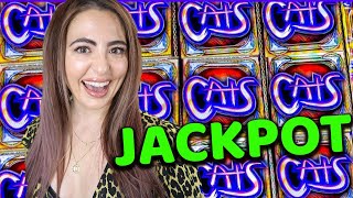 FIRST HANDPAY on Cats Slot Machine in over 3 years!