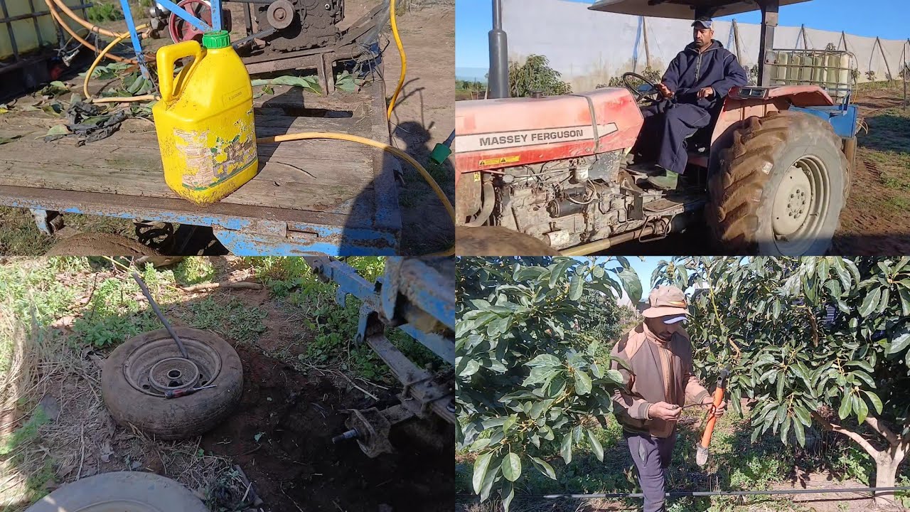 الحياة الفلاح  النهار داز صعيب