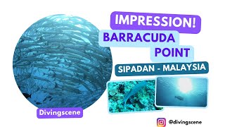 1000s of Barracudas this Dive site! - compilation Barracuda Point - Sipadan - Malaysia