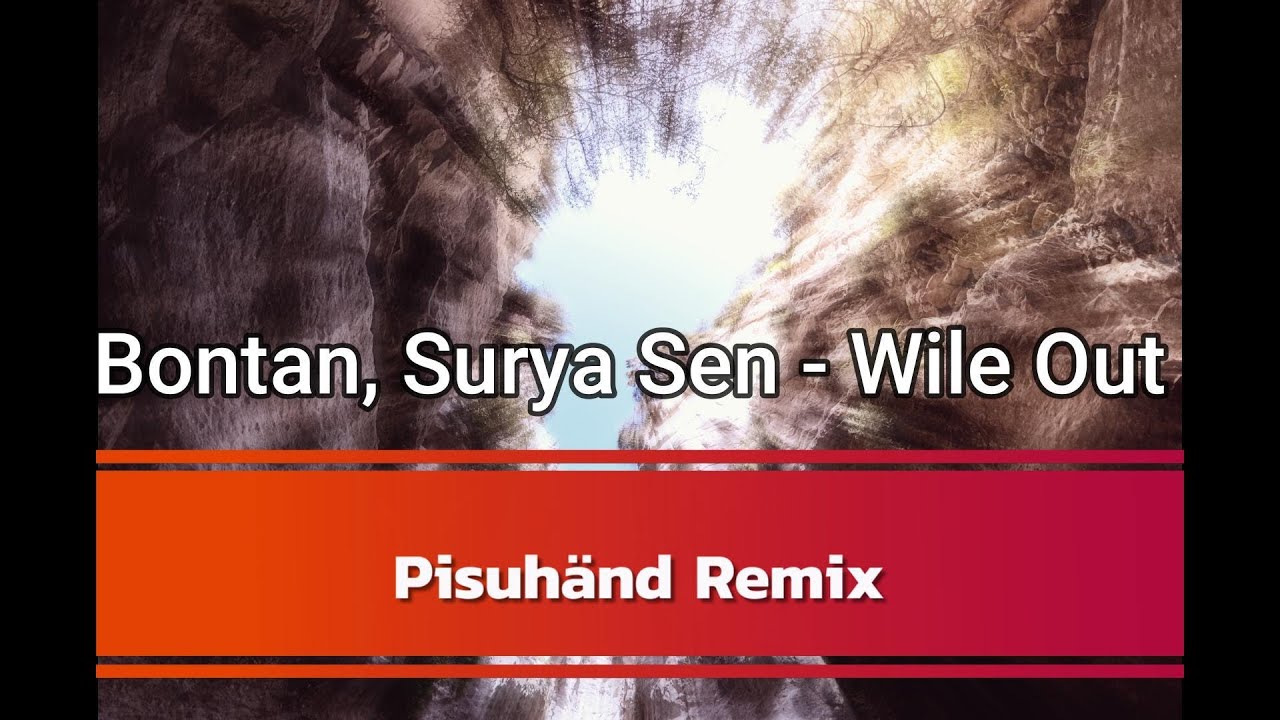 Bontan, Surya Sen -  Wile Out ( Pisuhänd Remix )