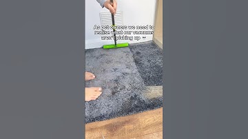 I literally vacuumed yesterday?! 😳 #pethairremoval #cleantok #cleaninghacks #pets