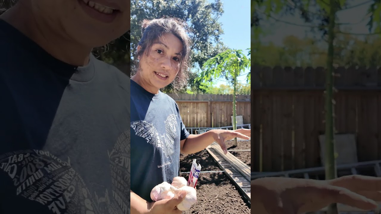 Preparing the garden soil to have a better harvest in the future! 🪴🌱🌻 