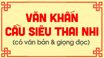 Văn khấn cầu siêu cho thai nhi, hài nhi - Gia Phong