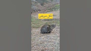 لكل مريض #اذكار_المساء#اكسبلور#دعاء_الرزق #ترند #اذكار_الصباح #تيك_توك#لايك #دعاء