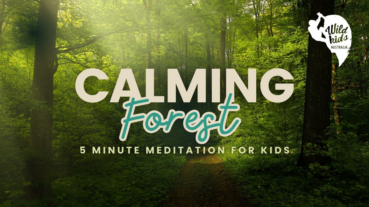 Forest Meditation for kids - YouTube