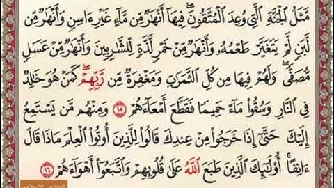 سورة محمد من 10 الى 15