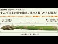 アスパラガス 富良野産アスパラ 朝もぎ