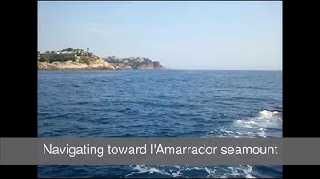 3D Reconstruction via Realtime Coverage Planning with the GIRONA 500 AUV