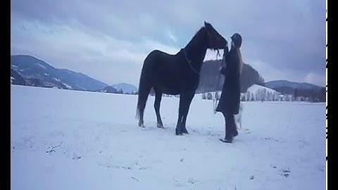 How can it be? (Playing with horse)