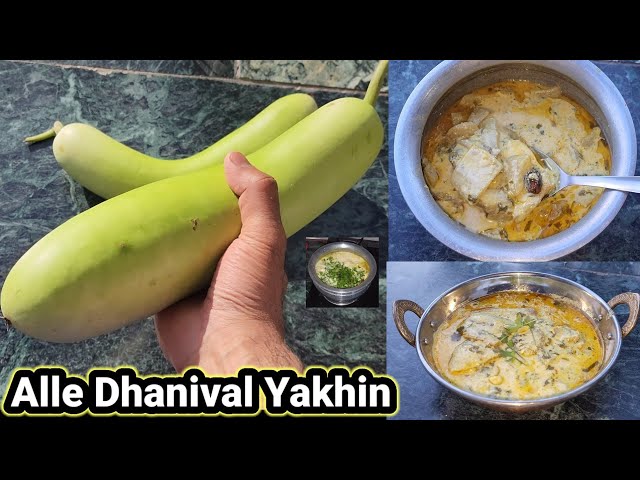 Alle Dhanival Yakhin Kashmiri Wazwan Dish | Bottle Gourd White Coriander Yakhni class=