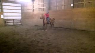 BB 2 barrel flags practice