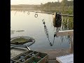Tench Bite Indication Science: From Quivers to Spring Bobbins