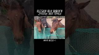 예쁜 누나가 주니까 더 맛있지ㅋㅋ | 제주 자덕녀 | ASMR | 먹방 cyclingvlog 제주살이