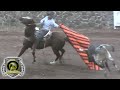 EDICIÓN LIMITADA DE RANCHO NEGRO VS LOS PRIMOS EN SAN JACINTO JALISCO 06-01-19