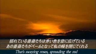 ROSA (VIOLET UK) / MEIKOカヴァー