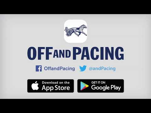 Off And Pacing: Horse Racing