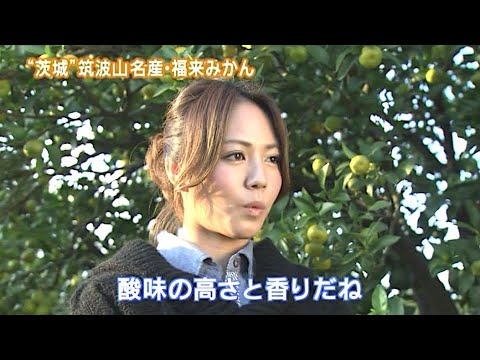 磯山さやか : 旬刊！いばらき・福来みかん (201211)