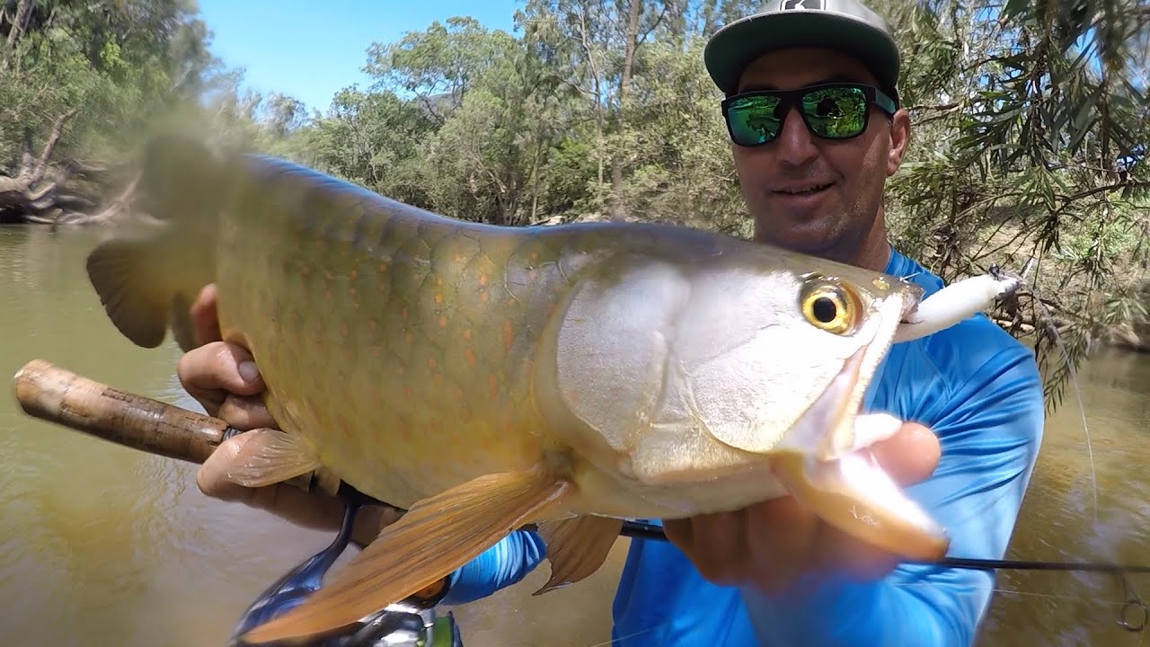 On pêche dans le BUSH AUSTRALIEN