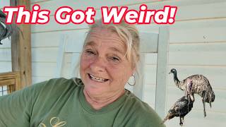 This Did Not Go As Planned || And Got Really Weird