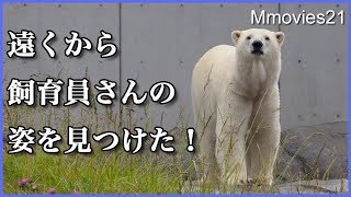 土砂降りの中 飼育員さんを見つけたリラの表情　リラからデナリへ展示交替