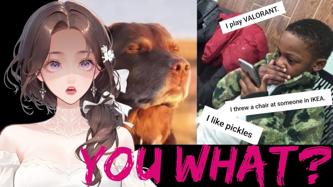 ОНИ ЧТО?! Ваши дикие признания. Реакция на дегенеративность.