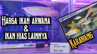 Harga ikan arwana dan ikan hias lain di karawang