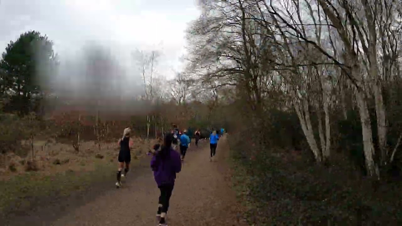 Wimbledon Common parkrun