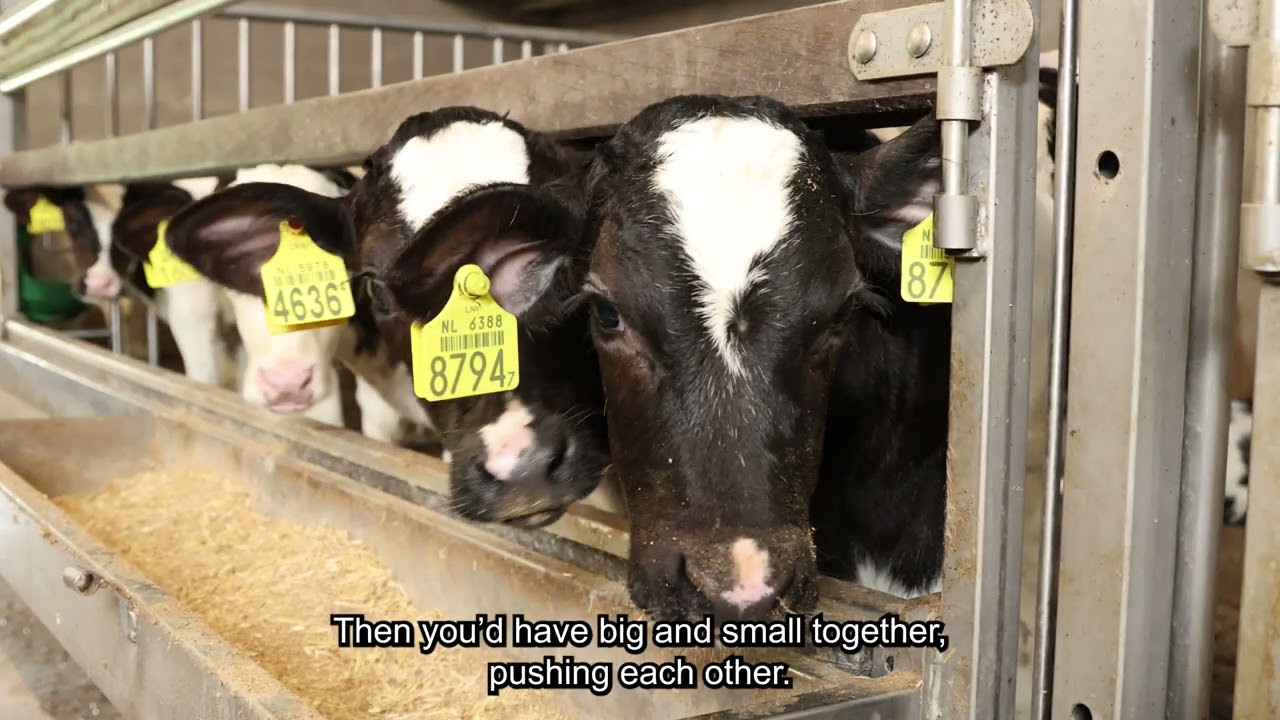 Role of assembly centres