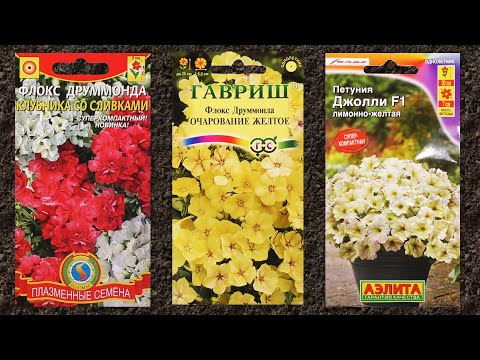 Обзор семян цветов на 2021 год, часть 4