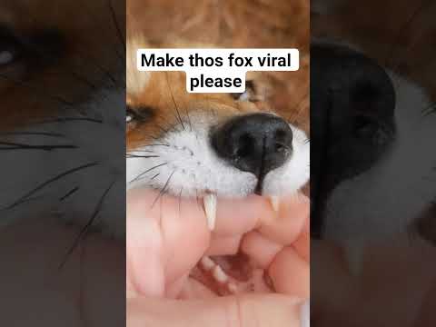 make it #viral